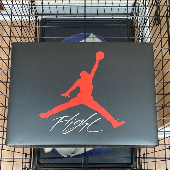 2025 Air Jordan 4 Retro “White Cement” - Picture 9 of 10